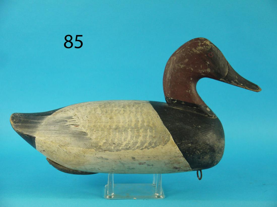 CANVASBACK DRAKE, URIE FAMILY (1 of 3)