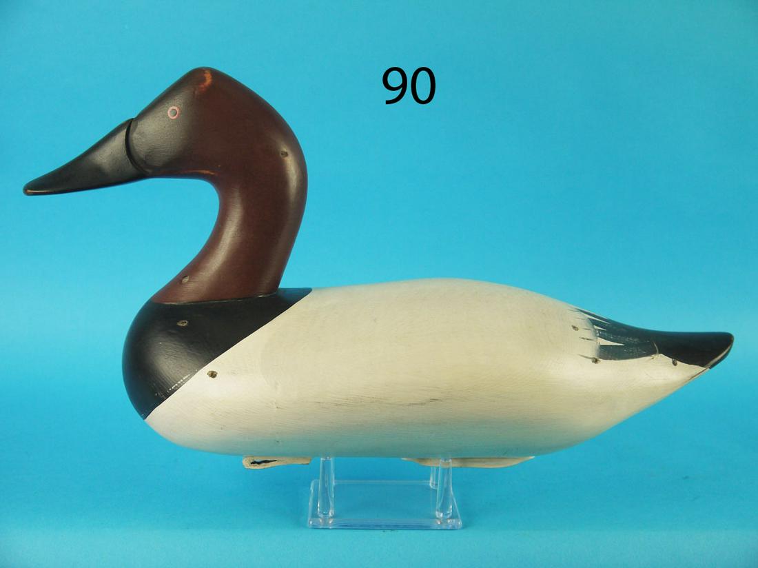 CANVASBACK DRAKE, B. BODT (1 of 3)