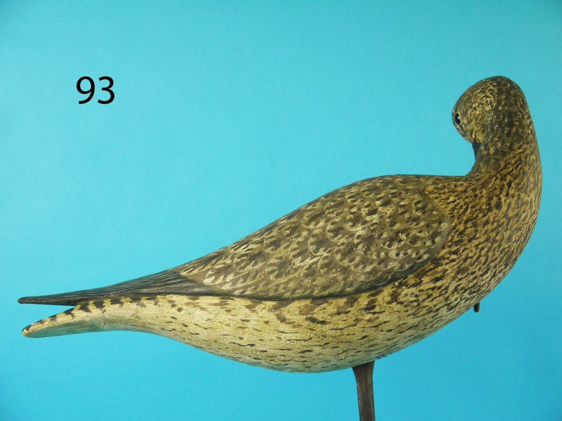 LONG BILLED PREENING CURLEW, R. BIRCH (1 of 2)