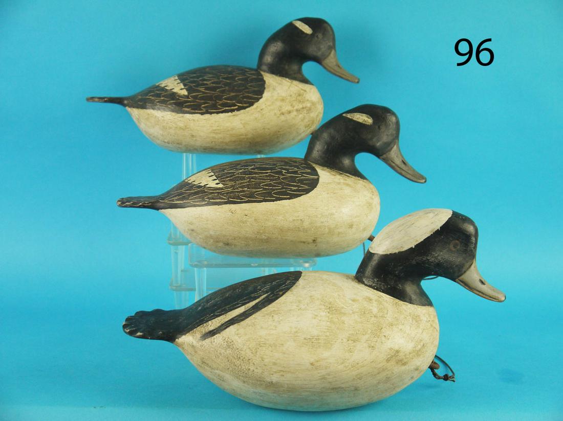 THREE BUFFLEHEADS, B. BOOTH (1 of 1)