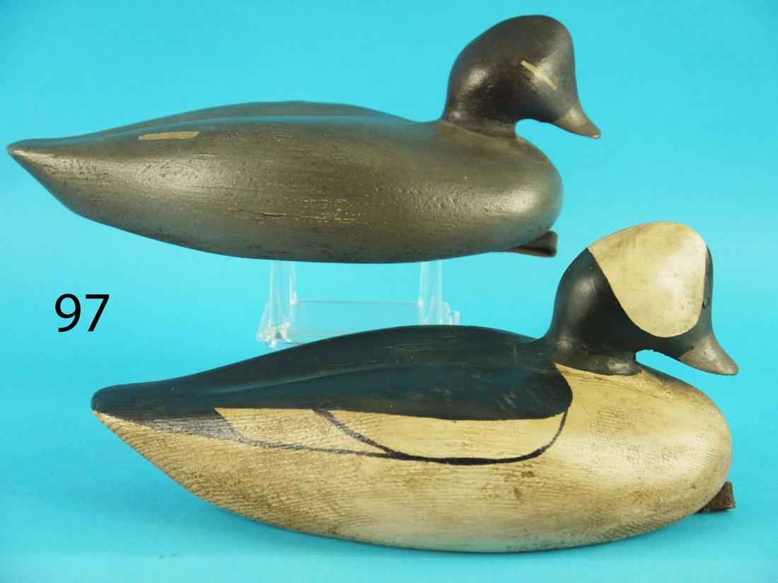 BUFFLEHEAD PAIR, F. DOBBINS (1 of 3)