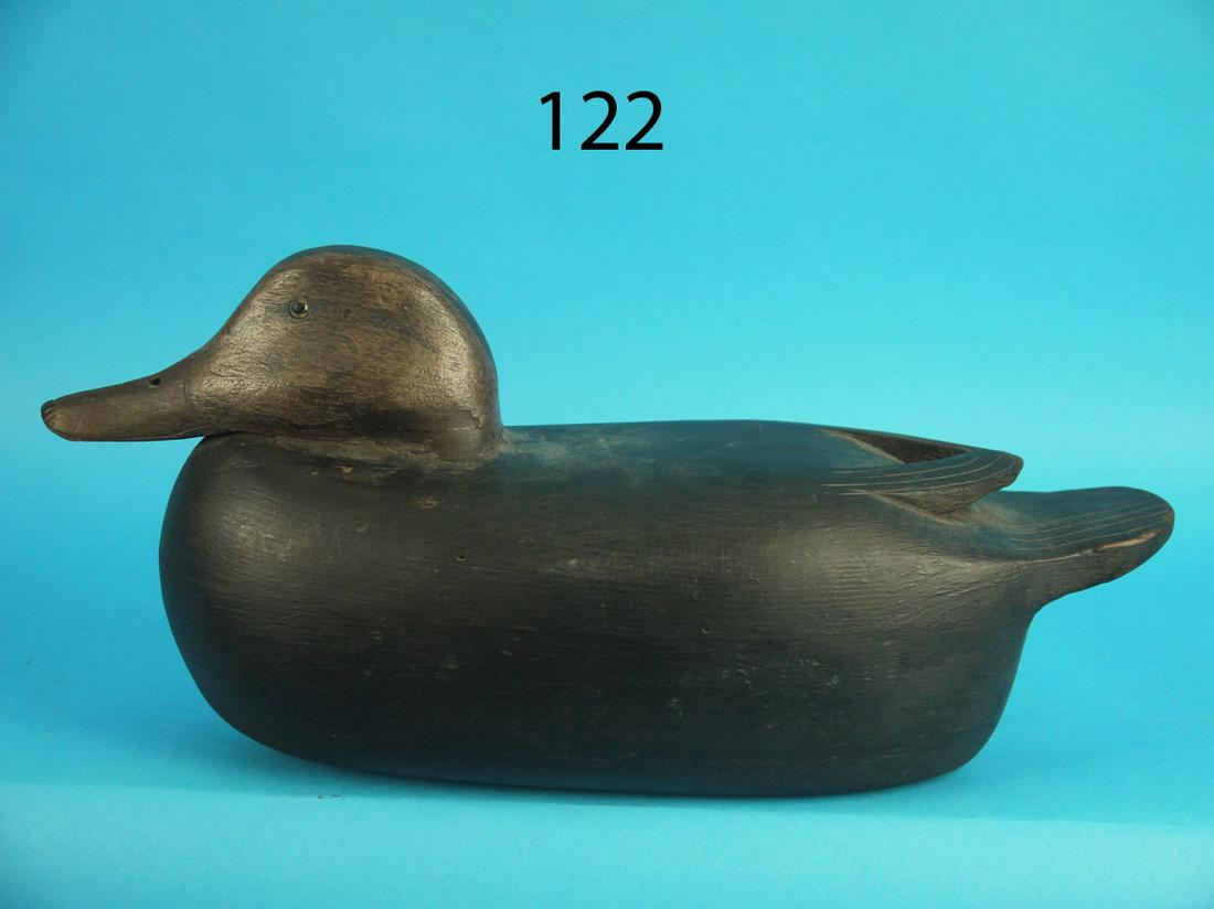 BLACK DUCK, R. SWIDERSKI (1 of 3)