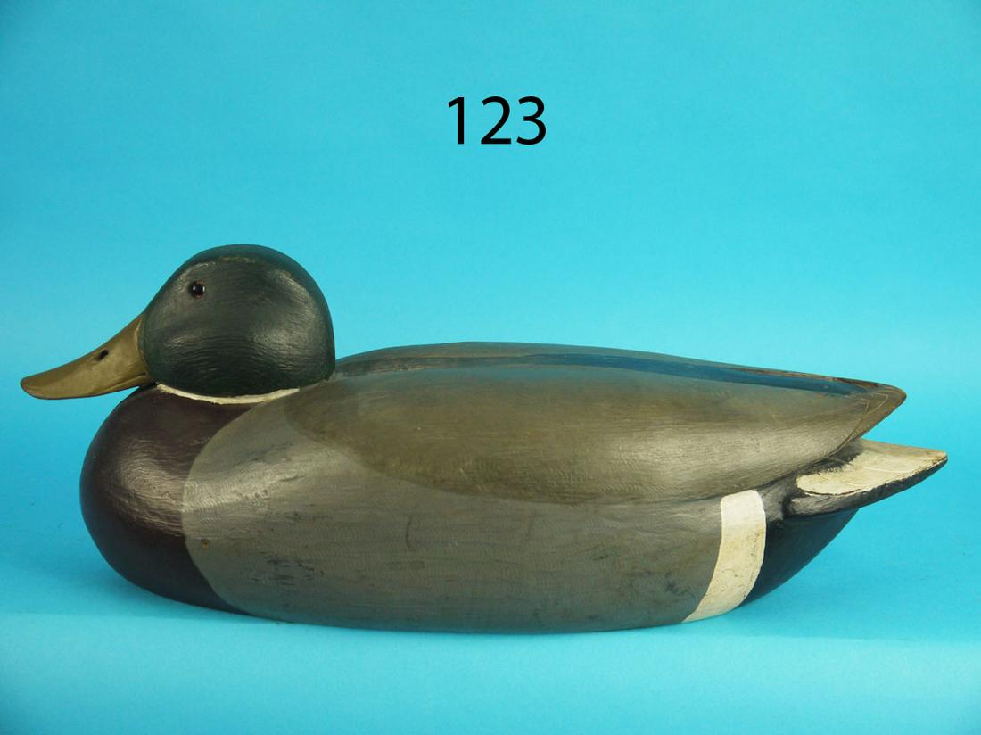 MALLARD DRAKE, L. BORKOWSKI (1 of 3)