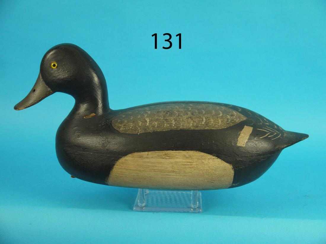 BLUEBILL DRAKE, C. BURKLEY (1 of 3)