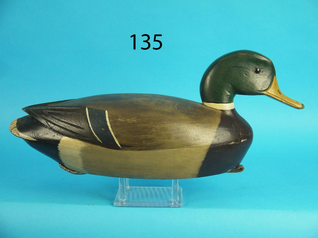 MALLARD DRAKE, DELAWARE RIVER (1 of 4)