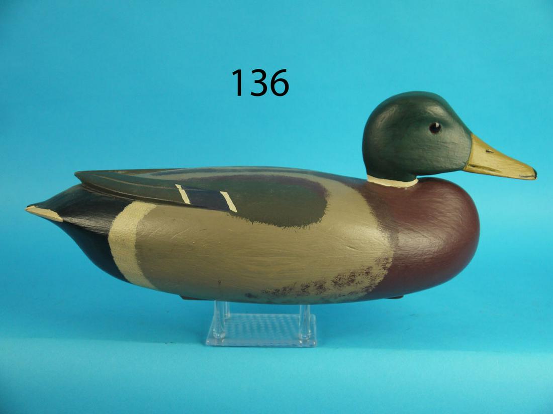 MALLARD DRAKE, J. BAKER (1 of 4)