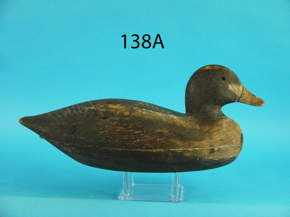 EARLY GOLDENEYE DRAKE, BARNEGAT BAY (1 of 4)