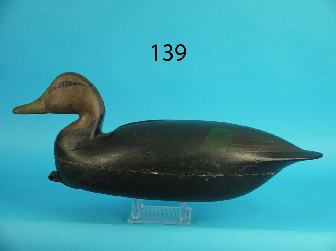 BLACK DUCK, L. PARKER (1 of 3)