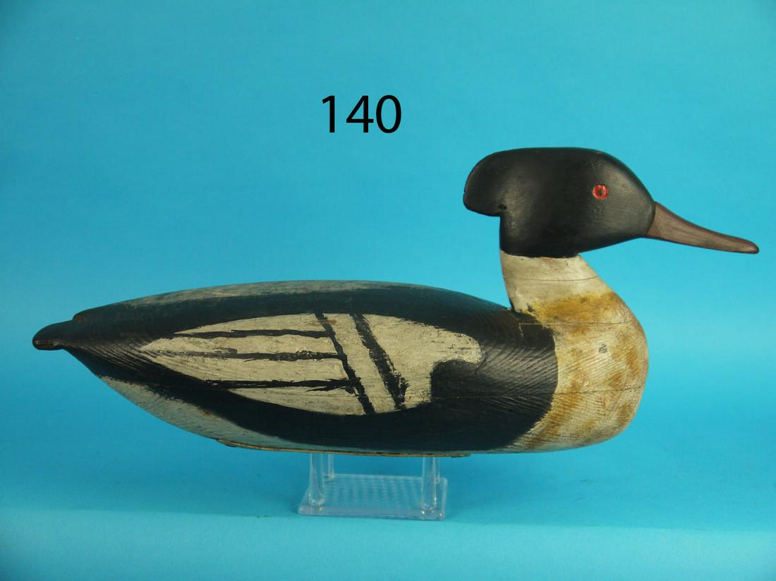 EARLY RED-BREAST MERGANSER DRAKE, L. BARKELOW (1 of 4)