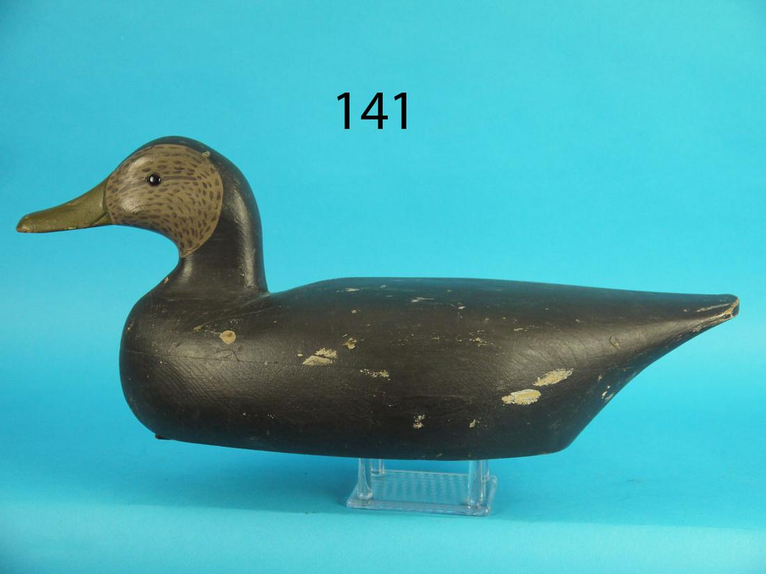 BLACK DUCK, C. WILBUR (1 of 3)
