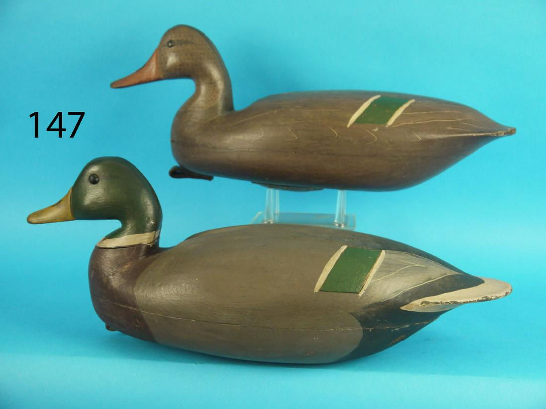 MALLARD PAIR, PARKERTOWN (1 of 3)