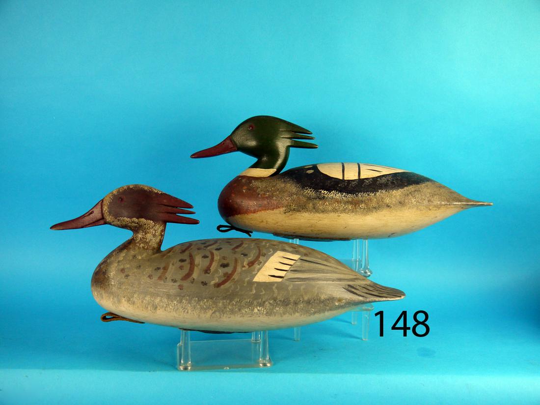 RED-BREAST MERGANSER PAIR, NEW JERSEY (1 of 3)