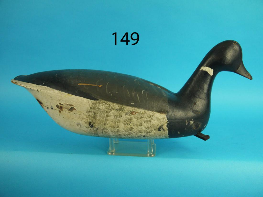 SWIMMING BRANT, PARKERTOWN (1 of 4)