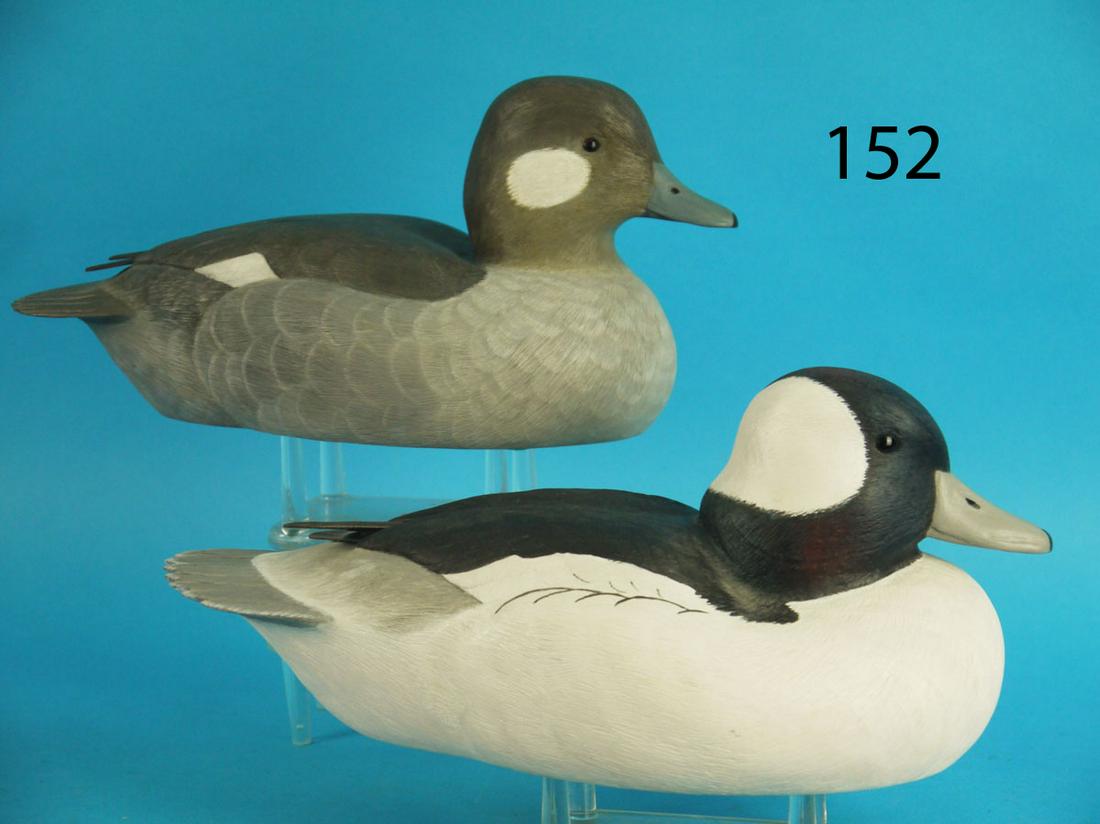 BUFFLEHEAD PAIR, C. WILLS (1 of 4)