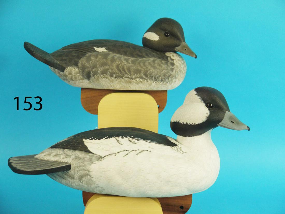 BUFFLEHEAD PAIR, J. BERNER (1 of 3)
