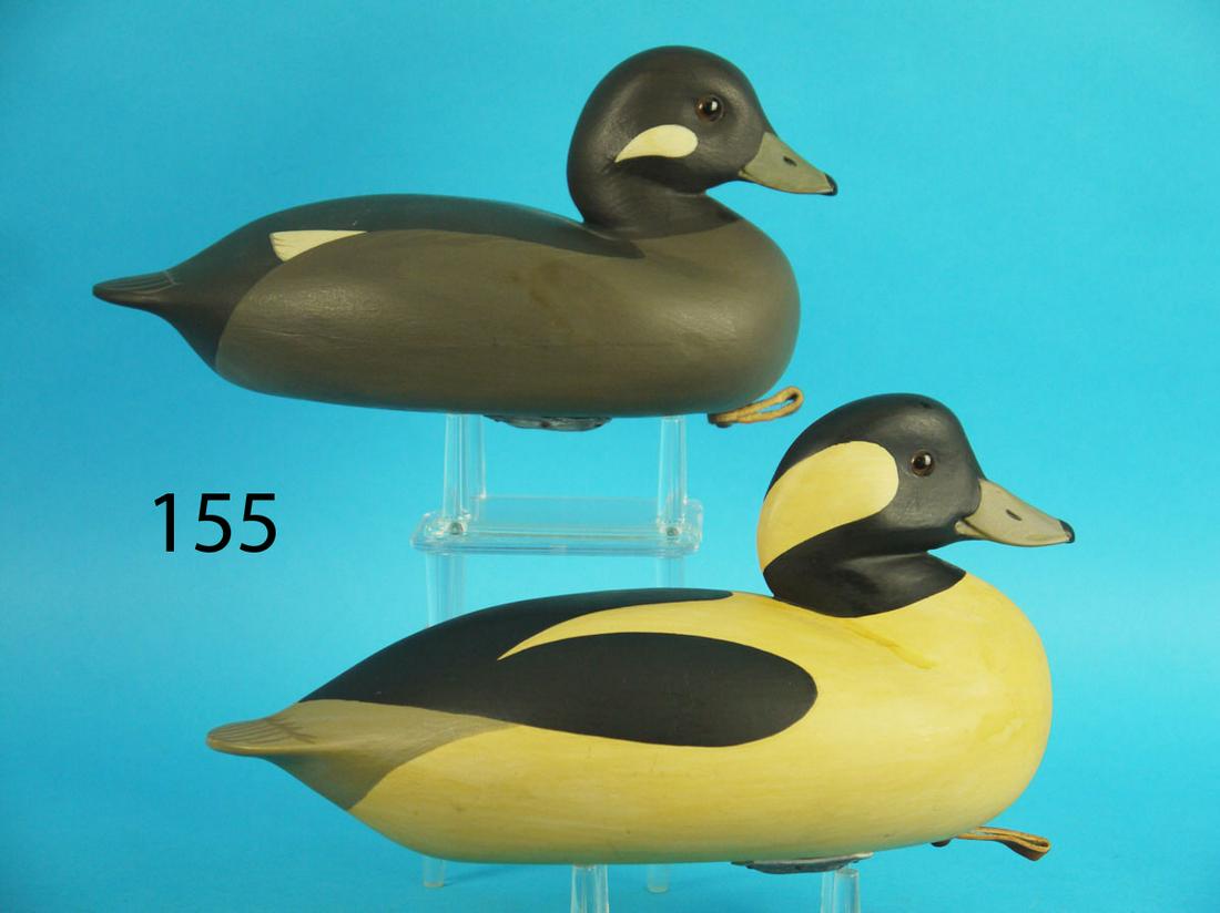 BUFFLEHEAD PAIR, F. JENNINGS (1 of 4)