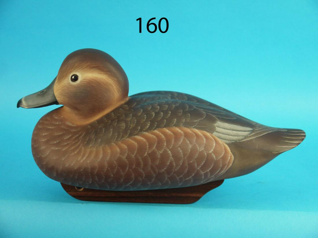 RED HEAD HEN, T. KILBOURNE (1 of 3)