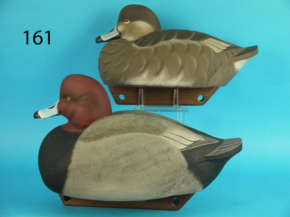 RED HEAD PAIR, A. TABASSO (1 of 4)