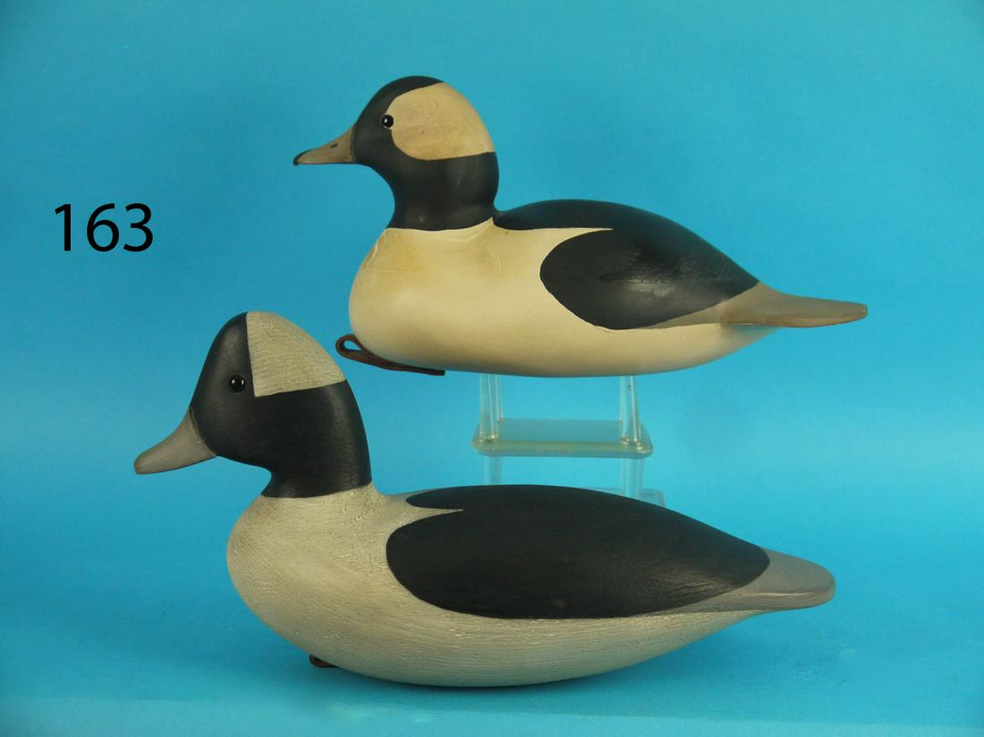 TWO BUFFLEHEAD DRAKES (1 of 3)