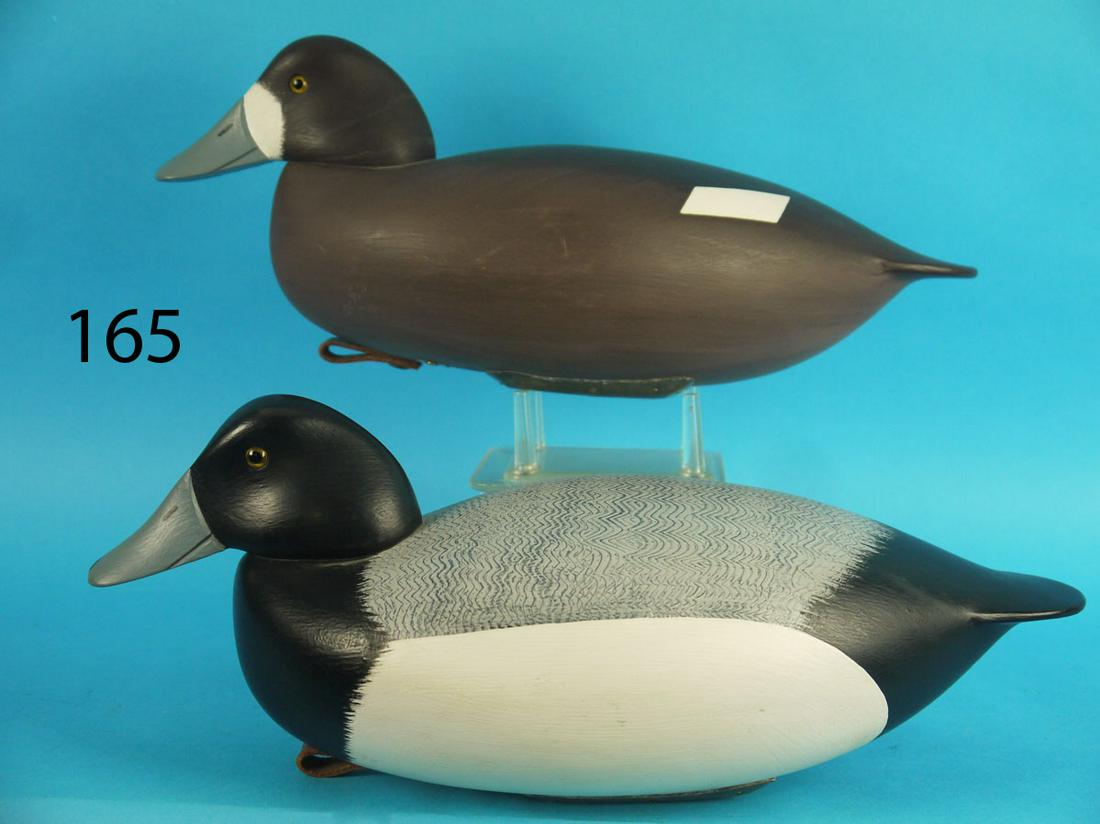 BLUEBILL PAIR, E. CLARK (1 of 3)