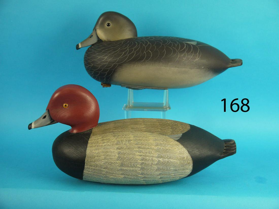 REDHEAD PAIR, J. HOLLOWAY (1 of 3)