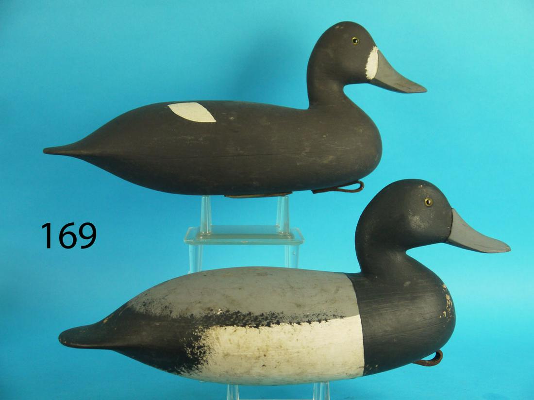 BLUEBILL PAIR, D. HALL (1 of 4)