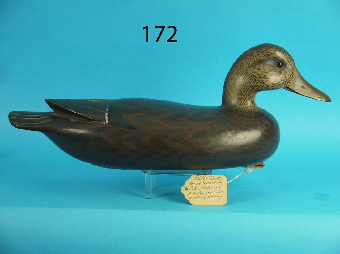 BLACK DUCK, J. HOLLOWAY (1 of 3)