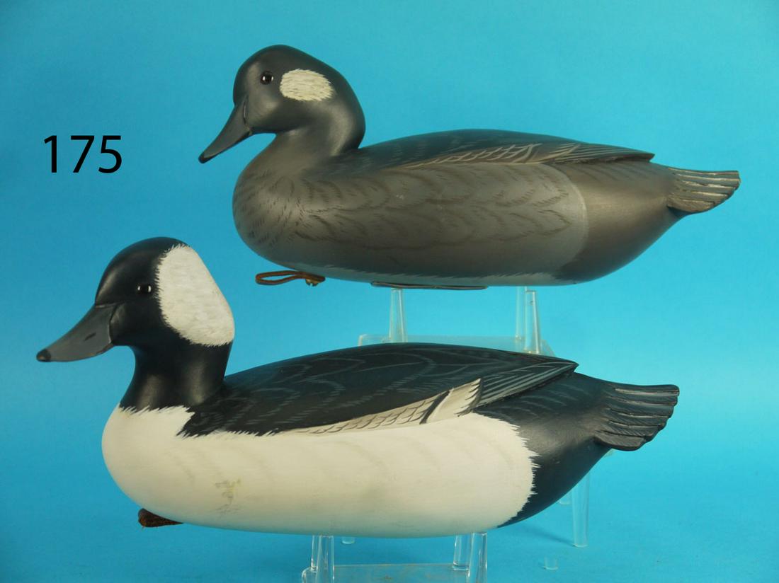 BUFFLEHEAD PAIR, K. WHARTON (1 of 3)
