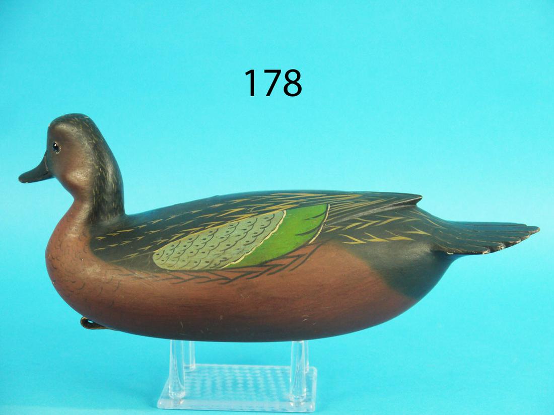 RARE CINNAMON TEAL, W. ETHINGTON (1 of 4)