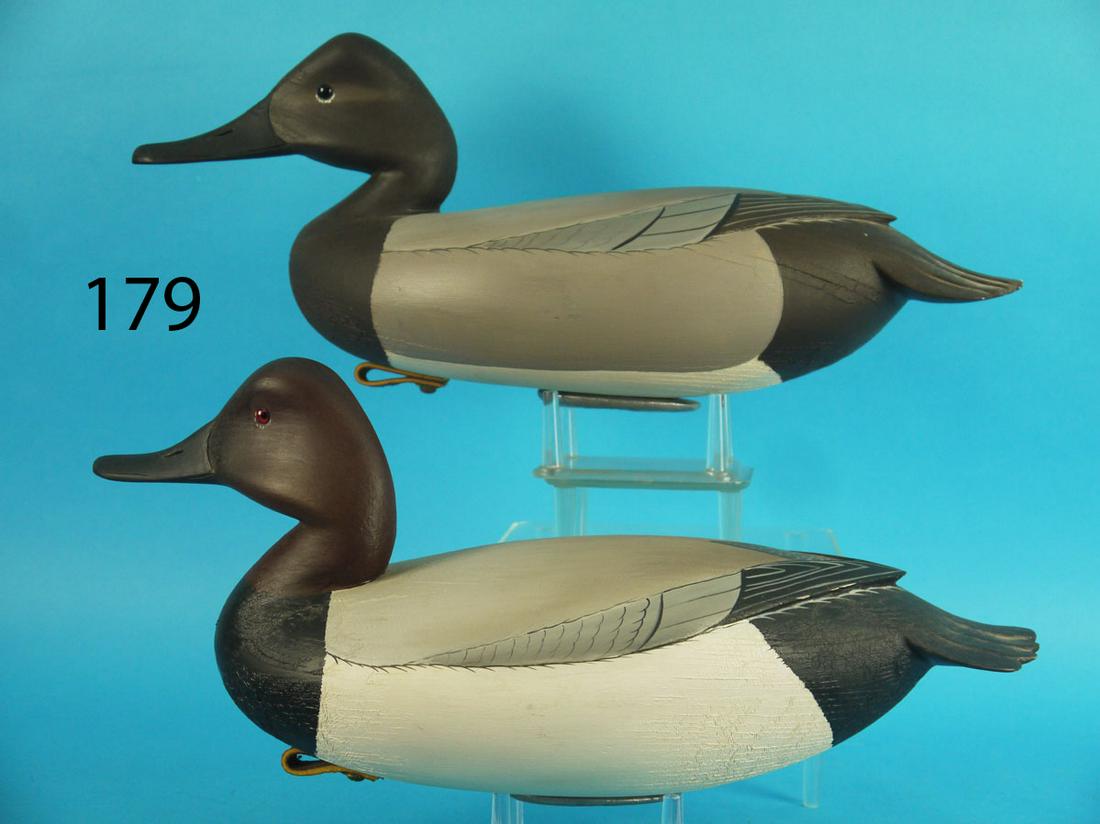 CANVASBACK PAIR, W. ETHINGTON (1 of 4)