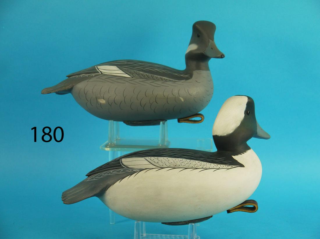 BUFFLEHEAD PAIR, W. ETHINGTON (1 of 4)