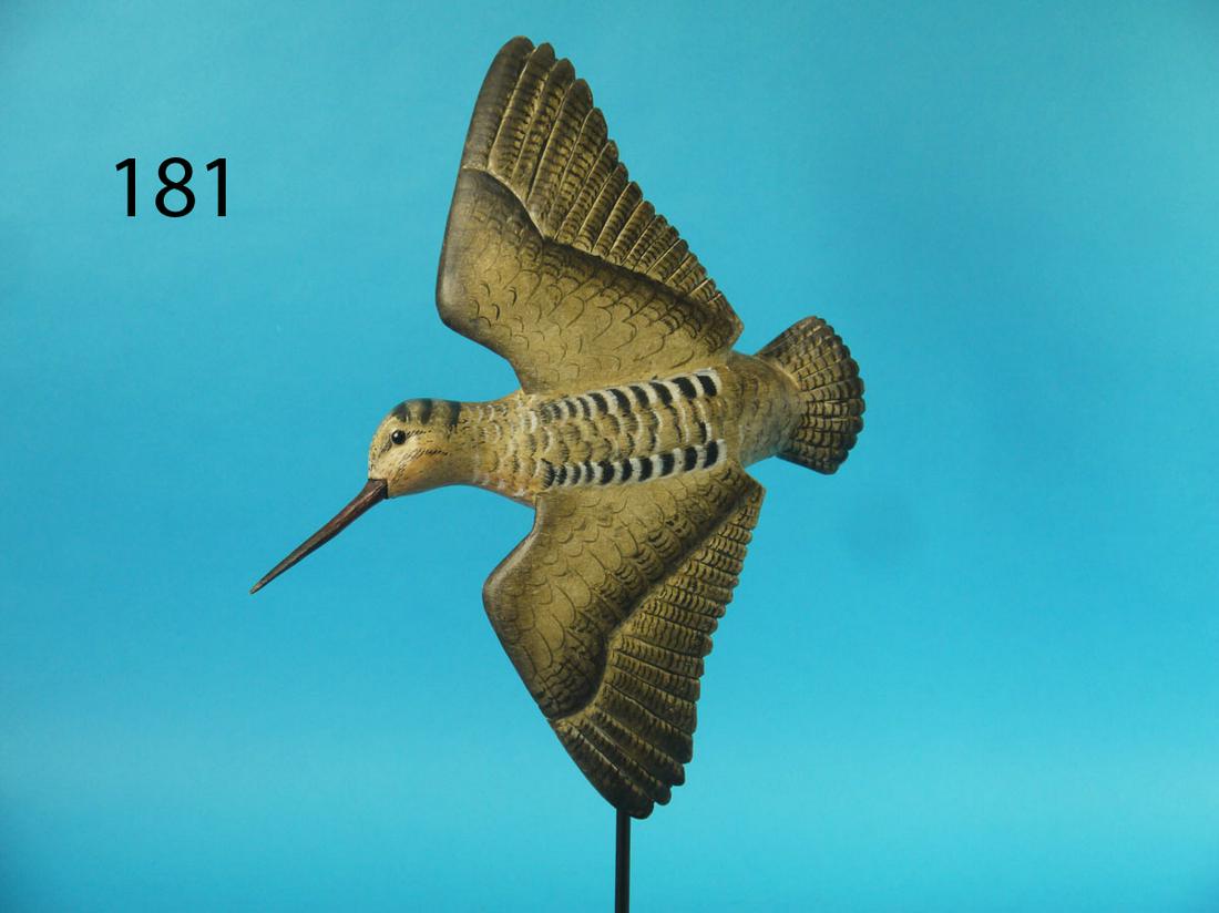 FLYING WOODCOCK, K. KIRBY (1 of 1)