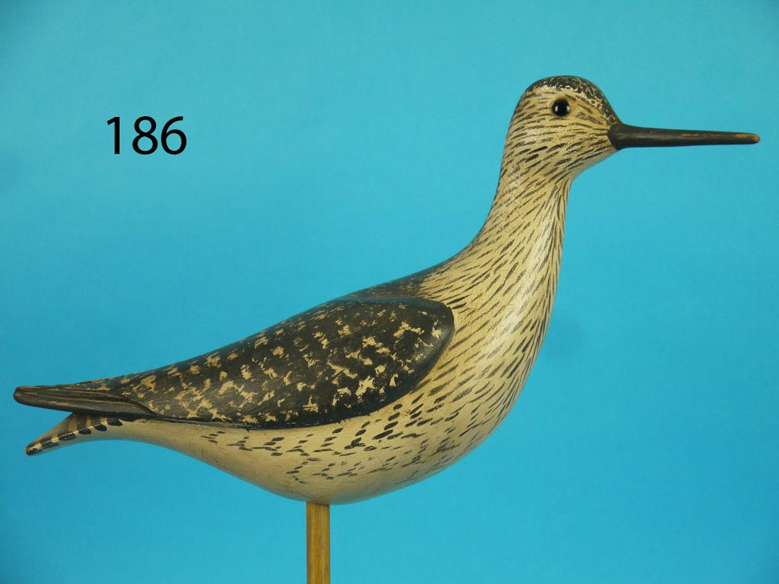 FINE YELLOWLEG, S. MOREY (1 of 1)