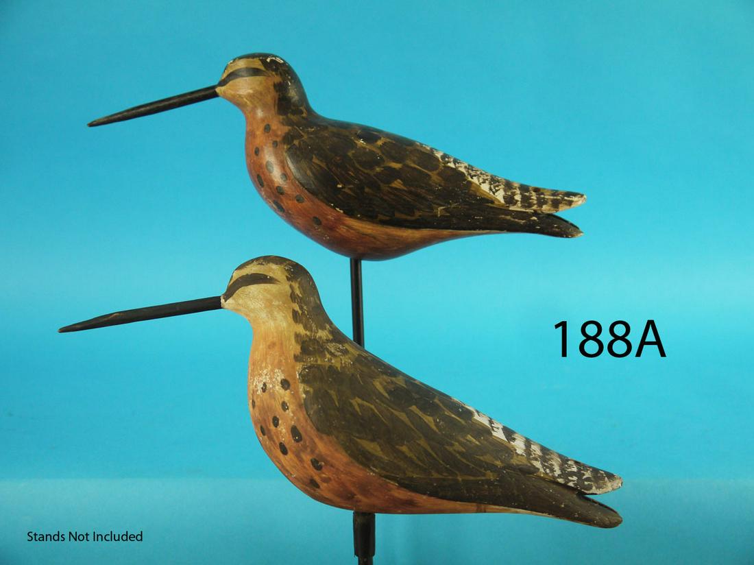 TWO DOWITCHERS, D. RHODES (1 of 2)