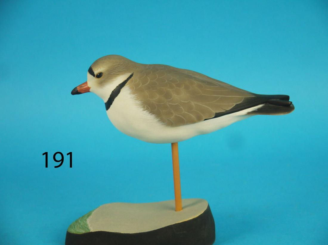 PIPING PLOVER, S. SCHNEIDER (1 of 1)