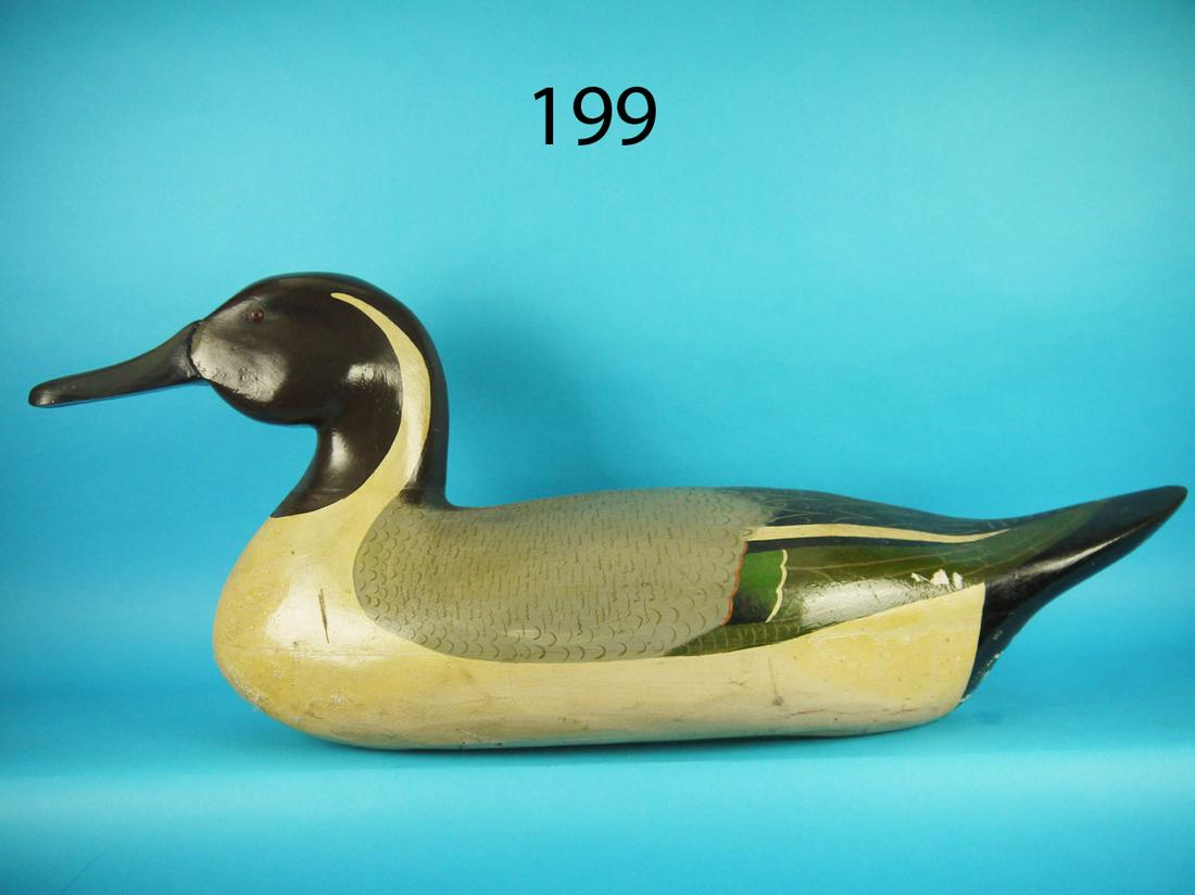 MAGNUM DECORATIVE PINTAIL PAIR (1 of 3)