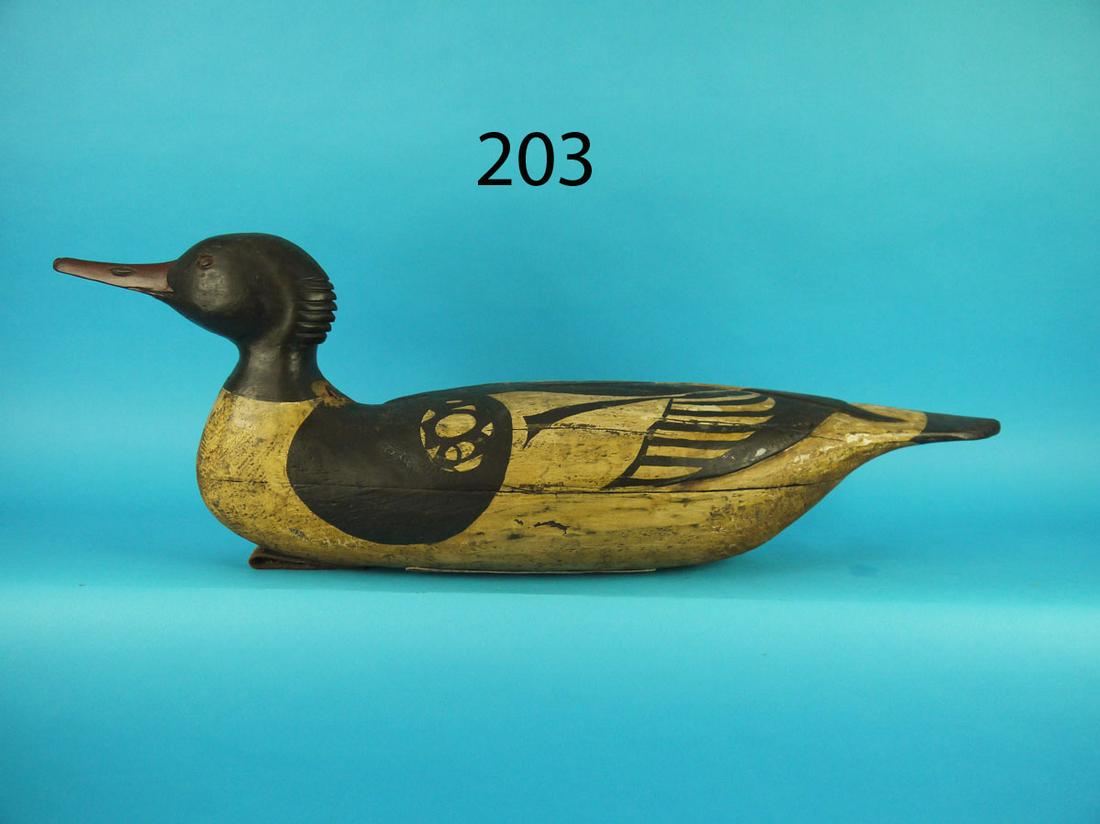 OVERSIZED MERGANSER, NEW JERSEY (1 of 3)