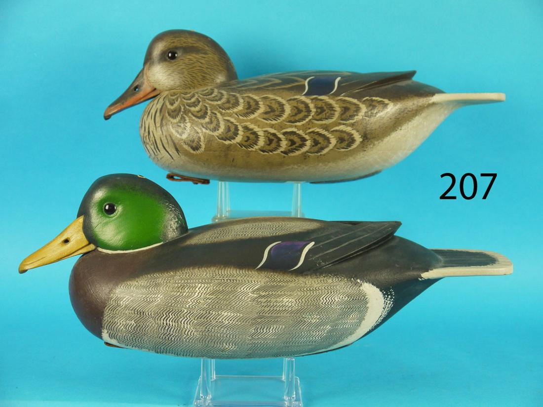 MALLARD PAIR, J. HOLLOWAY (1 of 3)