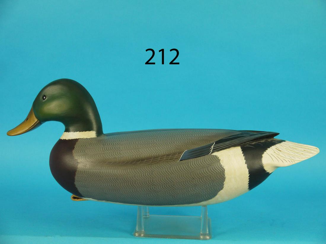 MALLARD DRAKE, C. FENNIMORE (1 of 3)