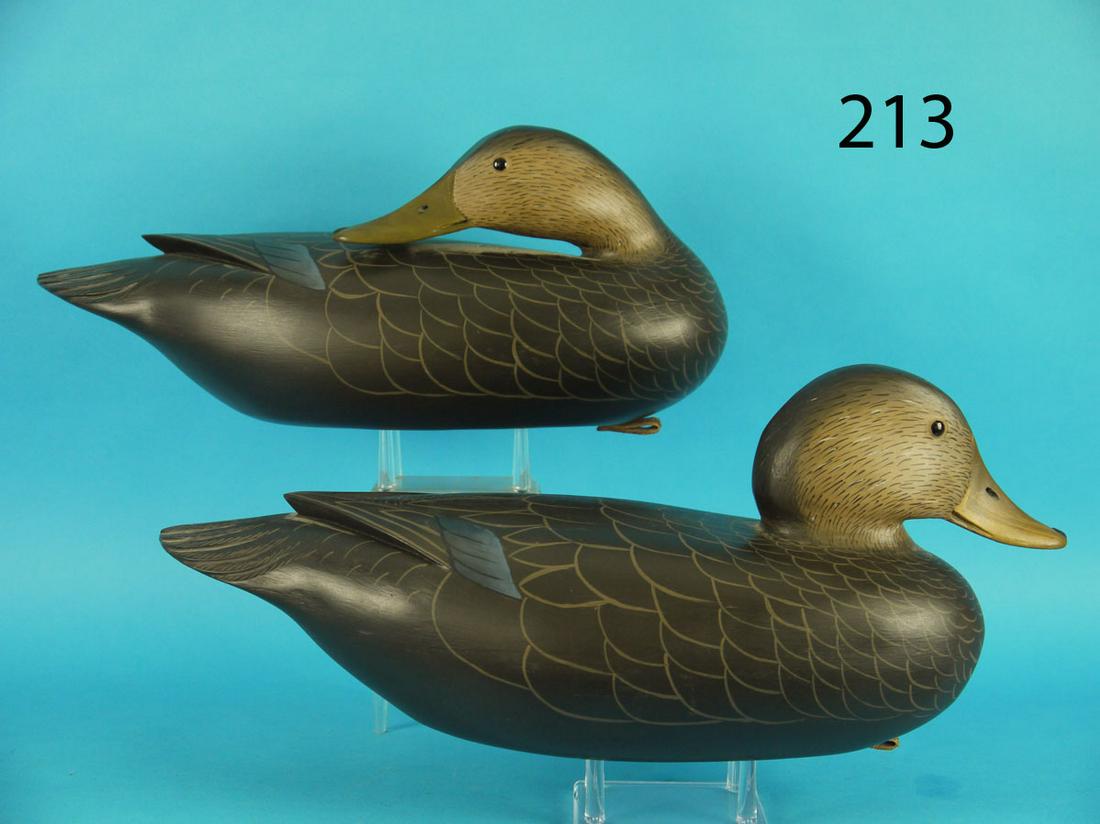BLACK DUCK PAIR, C. FENNIMORE (1 of 4)