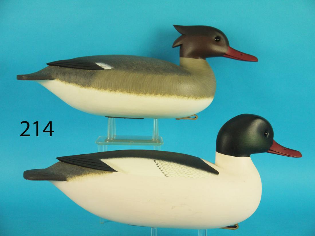 AMERICAN MERGANSER PAIR, F.C. BROWN, JR. (1 of 4)