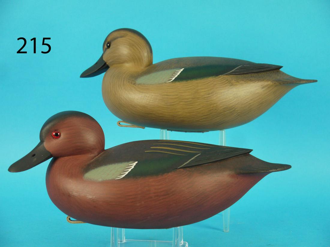 CINNAMON TEAL PAIR, F. C. BROWN, JR. (1 of 3)