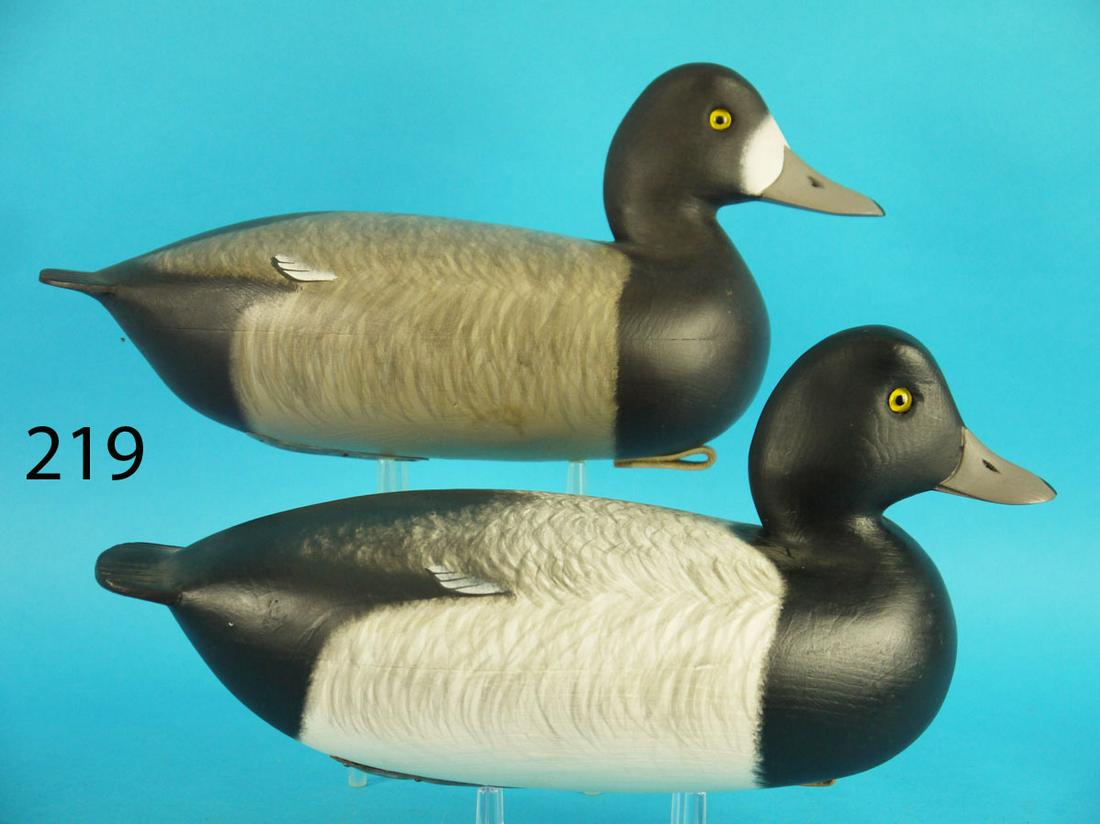 BLUEBILL PAIR, F.C. BROWN, JR. (1 of 4)