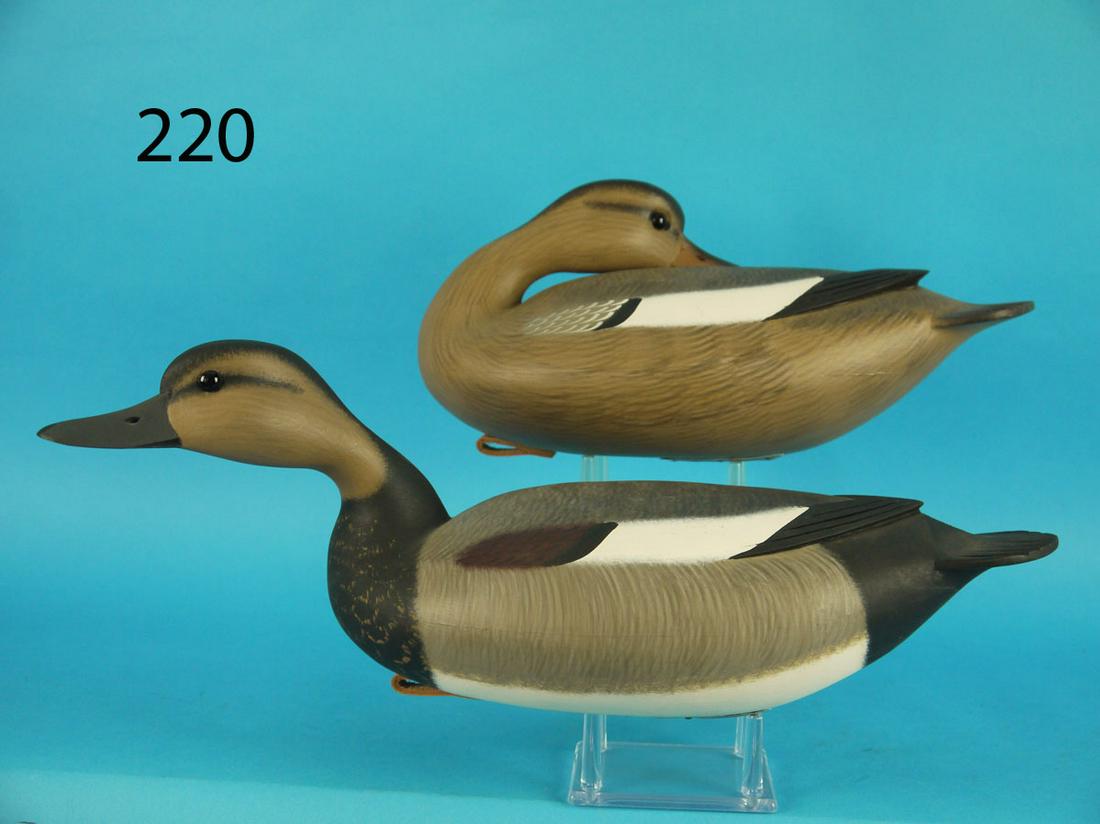 GADWALL PAIR, F.C. BROWN, JR. (1 of 3)