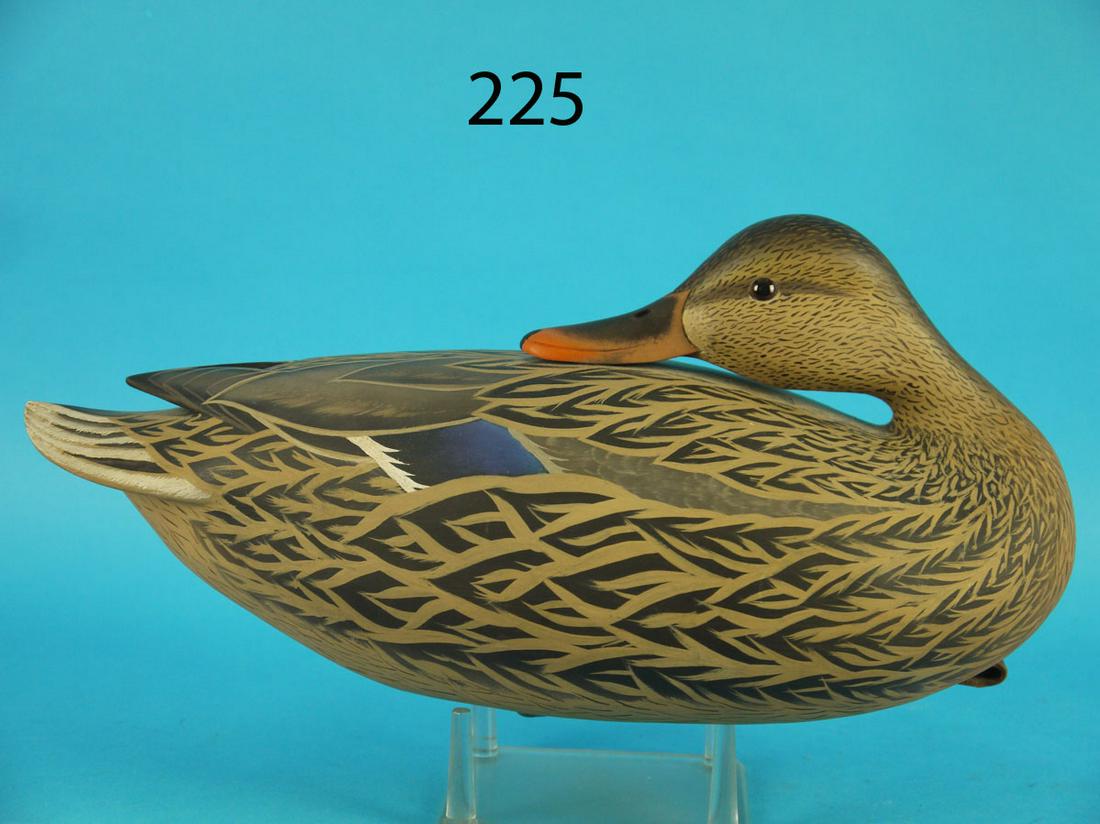 PREENING MALLARD HEN, J. WOOD (1 of 4)