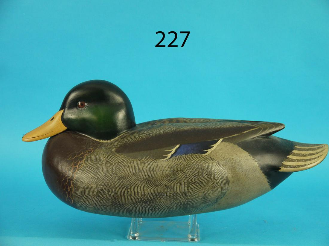 MALLARD DRAKE, J. WOOD (1 of 3)