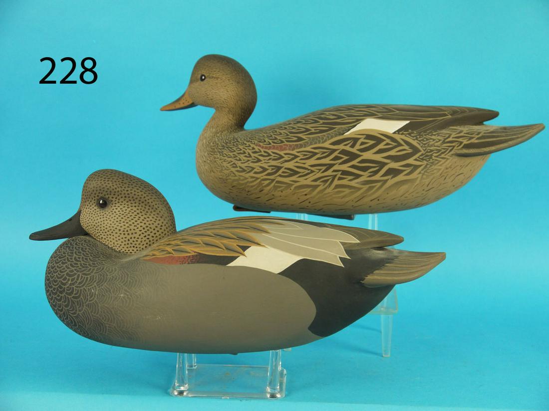 GADWALL PAIR, J. WOOD (1 of 3)