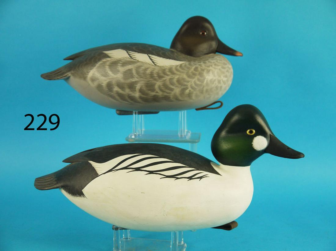 GOLDENEYE PAIR, J. WOOD (1 of 4)