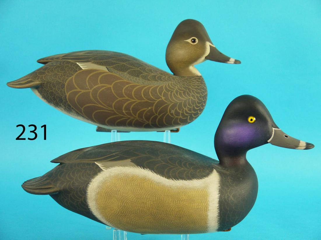 RINGNECK PAIR, J. WOOD (1 of 4)