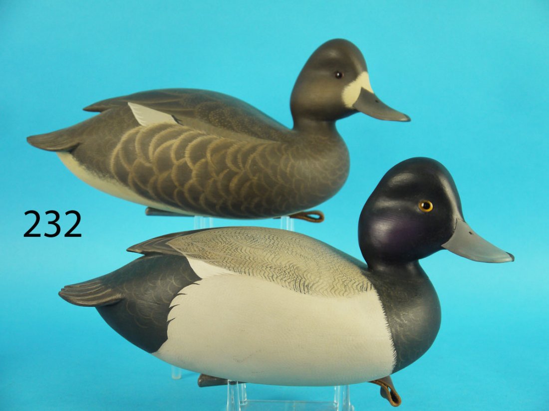 BLUEBILL PAIR, J. WOOD (1 of 4)